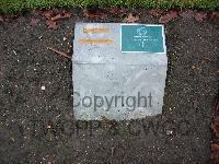 Brookwood Military Cemetery - Turton, Alfred Henry